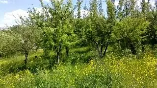 Beautiful Nature of Tadzhikistan -  Красивая Природа Таджикистан