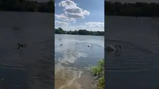 Рыбалка в Германии 