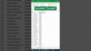 How to Select and Remove VISIBLE CELLS ONLY in 40 seconds‼️ #excel