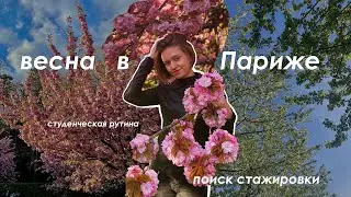 Апрельские вайбы | САКУРА в Париже | студенческая рутина | поиск стажировки