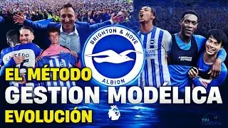 BRIGHTON is an outstanding team thanks to exemplary management