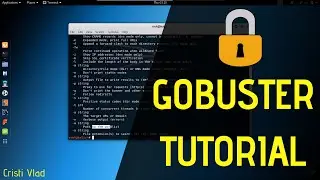 How to Use Gobuster in Penetration Testing - A Quick Tutorial