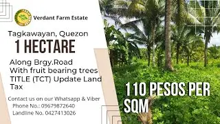 #16A-409(b) | Title (TCT) | Along Brgy. Road | Tagkawayan Quezon