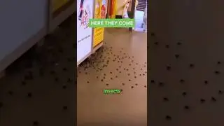 Spray On Airplane 😨