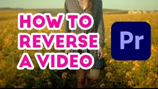 How to reverse a video in premiere pro - Quick Tutorial