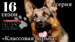 Комиссар Рекс, 16 сезон, 5 серия «Классовая борьба»