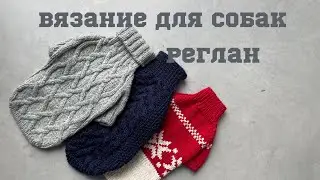 Вязание для собак: свитер регланом