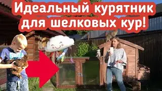 Идеальный курятник для шелковых кур!