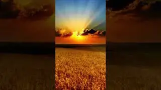 УСТАНОВКИ📍 Снятие блоков в общении и гармония в отношениях с собой🎇
