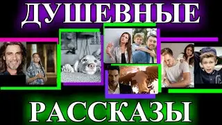 ДУШЕВНЫЕ РАССКАЗЫ❤️ЧУЖОЙ СЫН❤️НЕЧАЯННАЯ РАДОСТЬ❤️НА ПТИЧЬИХ ПРАВАХ❤️ГОЛОСОВОЕ СООБЩЕНИ@TEFI РАССКАЗЫ