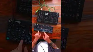 First impression of the Analog Four MKII 