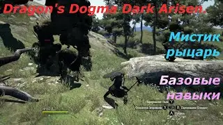 Dragon's Dogma Dark Arisen.Мистик рыцарь.Обзор базовых  навыков.