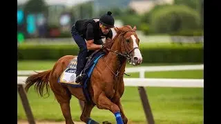 Belmont Stakes 2018 picks and predictions