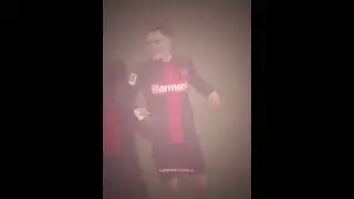 Bayer Leverkusens Bundesliga Fan Celebration Was Insane🥶🤯 #shorts #football #soccer