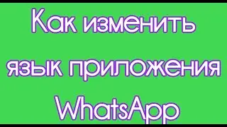 Как изменить язык приложения WhatsApp