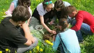 Экологический мониторинг 2018