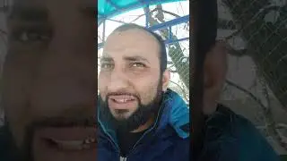 кантактой оча ота зангшон мезанем дер нашава