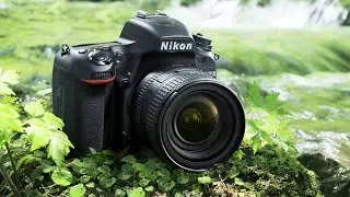 5 Best DSLR CAMERAS 2021