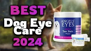 Top Best Dog Eye Care in 2024 & Buying Guide - Must Watch Before Buying!