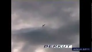 INDELA-Berkut  UAV Target.wmv