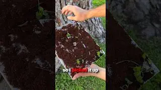 Dirty Play-Button Find at Park?! 😳🥈