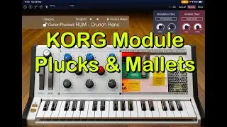 KORG Module Pro - Updated - NEW Plucks & Mallets Expansion - ALL Patches Played