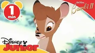 Bambi II | Watch It on Disney Junior! | Disney Junior UK