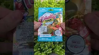 totally tiny blind bag asmr