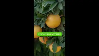 Этот фрукт спасёт тебя!