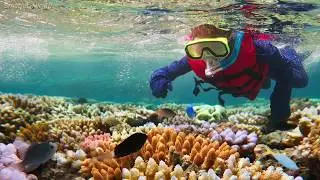 Большой Барьерный риф - Great Barrier Reef