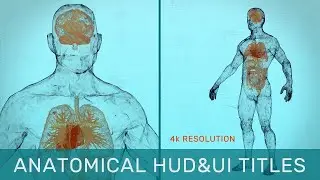Anatomical HUD&UI Titles After Effects Templates