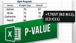 How to Calculate Probability Value (P-Value) in Excel | P-Value in Statistical Hypothesis Tests