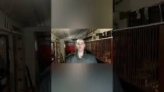 С Новым Годом, подводим результаты