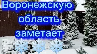 ❄В саду сказка... ❄☃️🎄