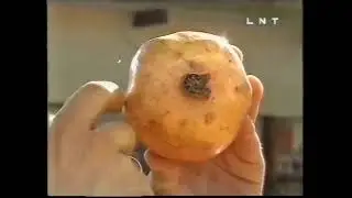 SIRMĀ EDIENKARATĒ