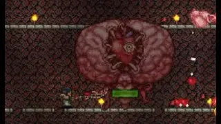 Fighting Brain for the first time in Terraria!