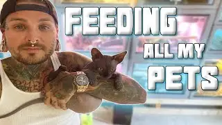 Feeding ALL 55 of my Animals! | Tyler Nolan