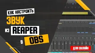 How to make friends with Reaper, OBS, and Skype