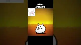 🤫🧏‍♂️ - Battle Cats 