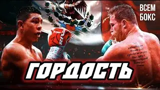 КАНЕЛО АЛЬВАРЕС - ХАЙМЕ МУНГИЯ. Бой который удивил многих.
