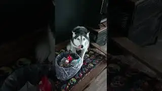 Рвать или не рвать? Вот в чем вопрос