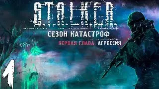 S.T.A.L.K.E.R. Сезон катастроф: Агрессия #1. Проект 