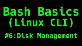 Disk Management - Bash Basics (Linux CLI)