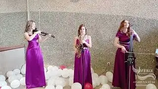 Струнный коллектив на встречу гостей заказать в Москве - лучшее акустическое трио на праздник