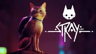 Stray Прохождение без комментариев #1