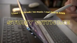 STUDY WITH ME / WORK WITH ME, 1 hour 10 min, no break, no music, real time & ASMR