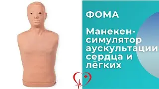 Обзор манекена для отработки навыков аускультации сердца и лёгких ФОМА