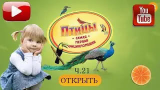 Птицы. Твоя ПЕРВАЯ энциклопедия! Часть  21