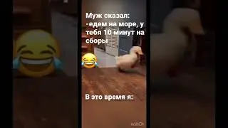 Чисто я по жизни😂 