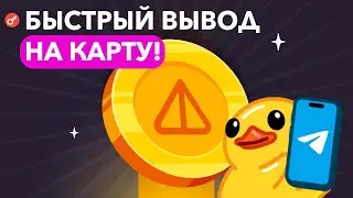 КАК ВЫВЕСТИ НОТКОИН на КАРТУ БАНКА из ТГ Кошелька или Тонкипер?